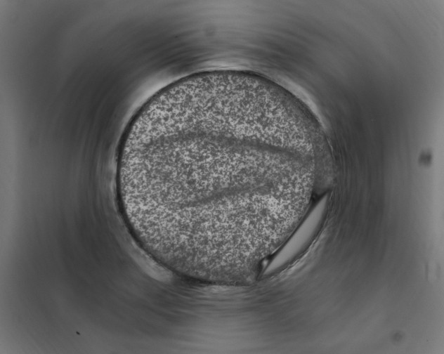 X0000101441179200808041208