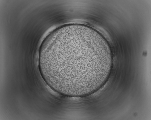 X0000101441180200808041208