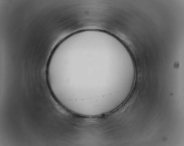 X0000101441181200808041208