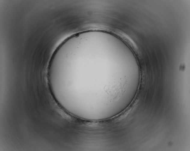 X0000101441182200808041208