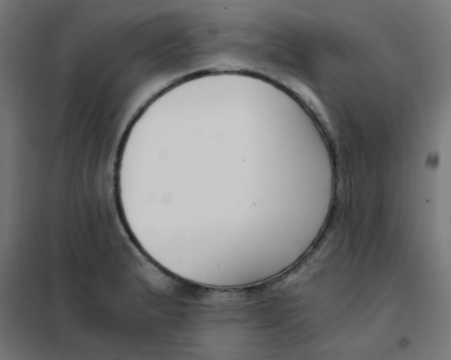 X0000101441183200808041208
