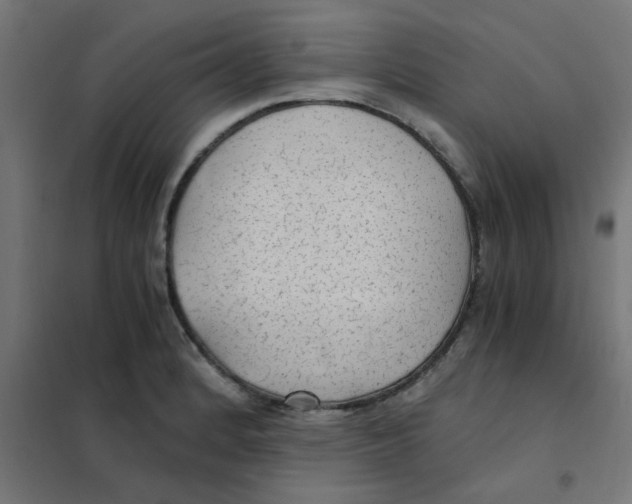 X0000101441184200808041208