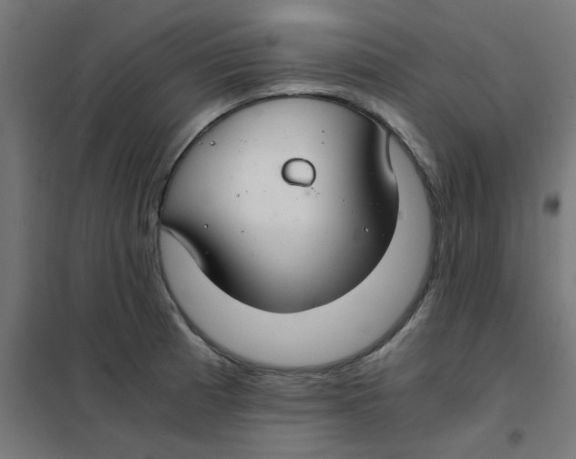 X0000101441185200808041208