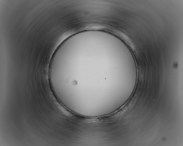X0000101441186200808041207