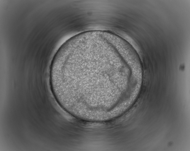 X0000101441187200808041207