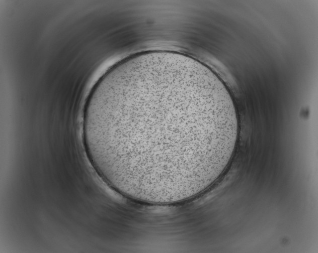 X0000101441188200808041207
