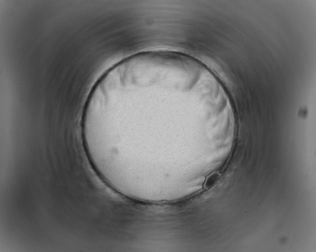 X0000101441189200808041207