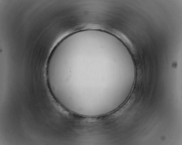 X0000101441190200808041207