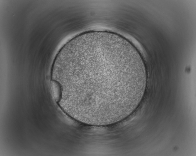 X0000101441191200808041207