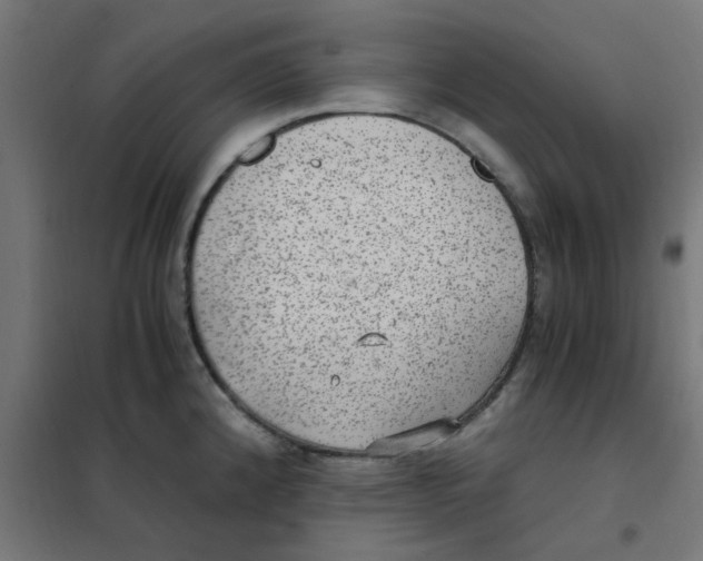 X0000101441192200808041207