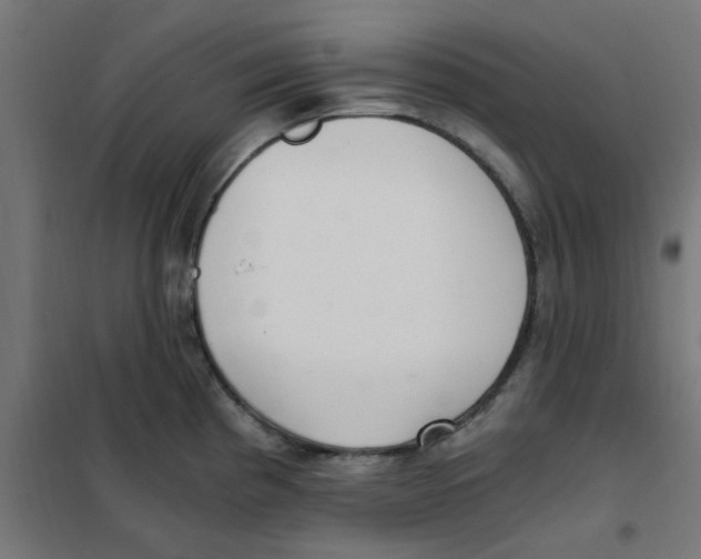 X0000101441193200808041207