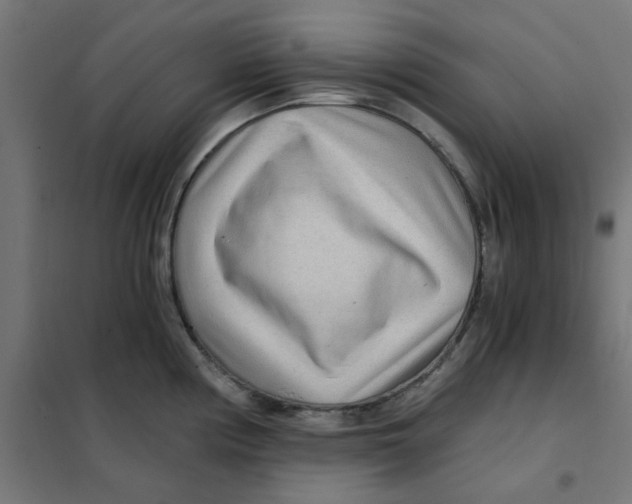 X0000101441194200808041207