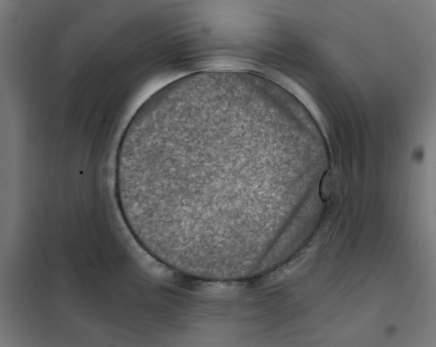 X0000101441195200808041207