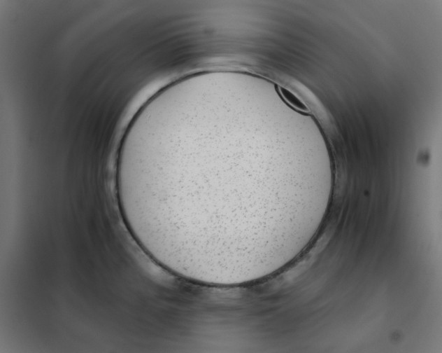 X0000101441196200808041207
