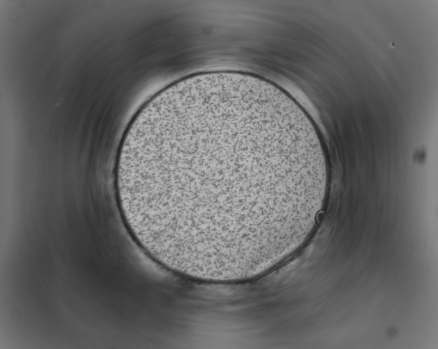 X0000101441197200808041207