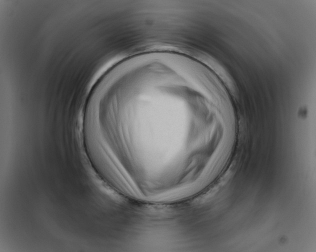 X0000101441198200808041207