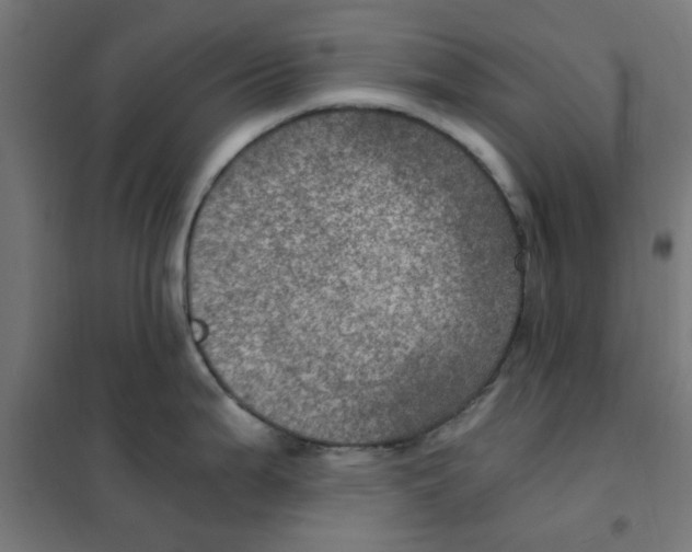 X0000101441199200808041207