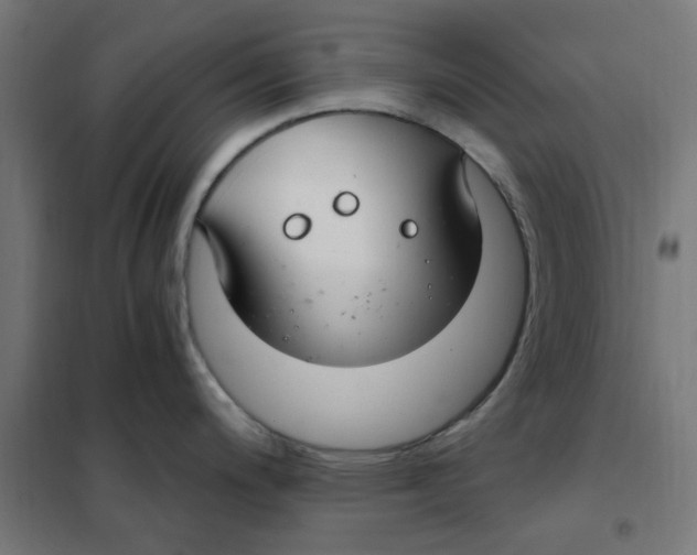 X0000101441200200808041207