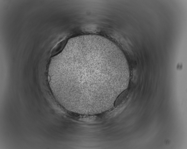 X0000101441201200808041206