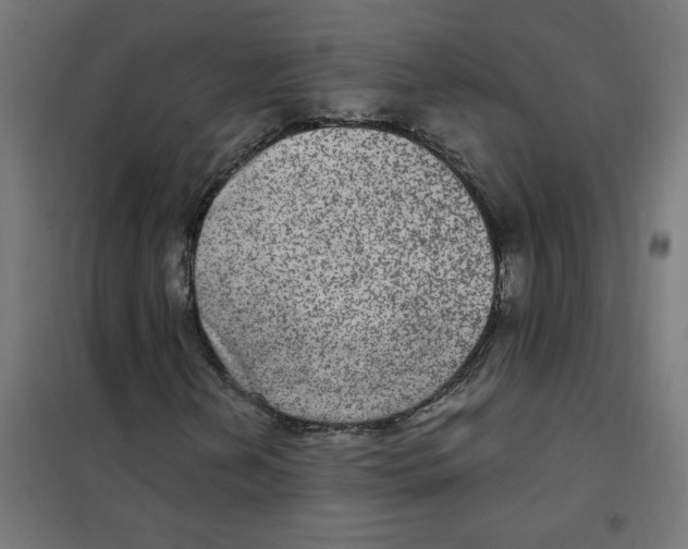 X0000101441202200808041206