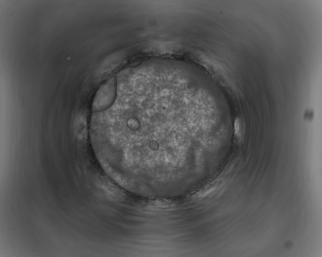 X0000101441203200808041206