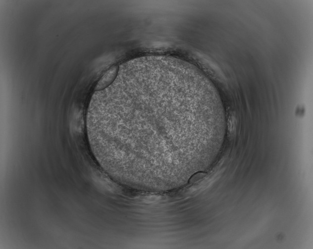 X0000101441204200808041207