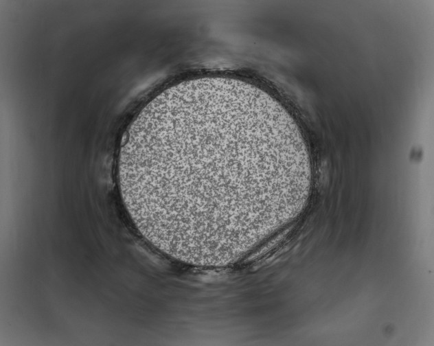 X0000101441205200808041207