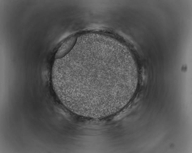 X0000101441206200808041207