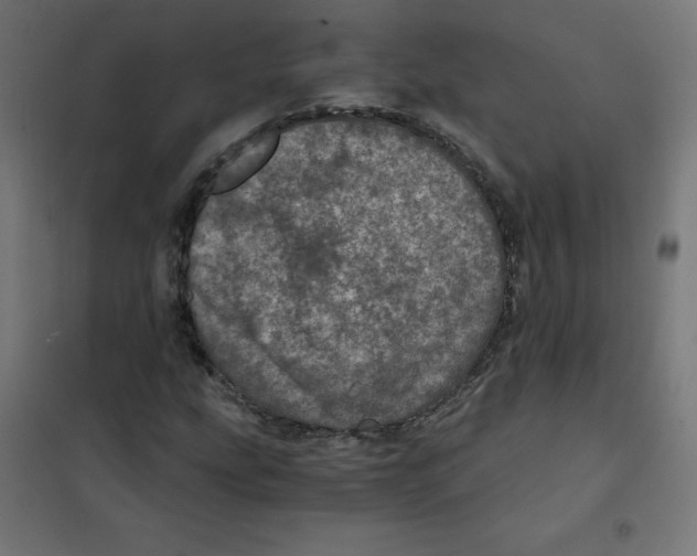X0000101441207200808041207