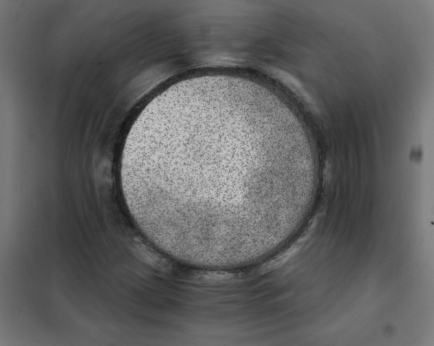 X0000101441209200808041207
