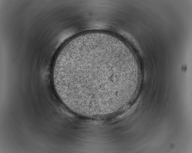 X0000101441210200808041207