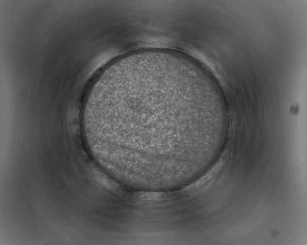 X0000101441211200808041207