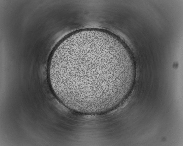 X0000101441212200808041207