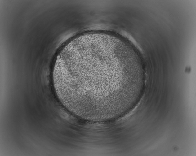 X0000101441213200808041207