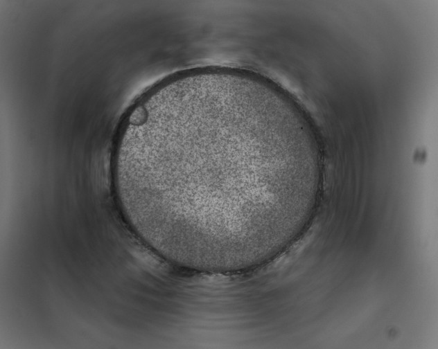 X0000101441214200808041207