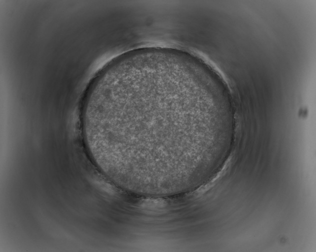 X0000101441215200808041207
