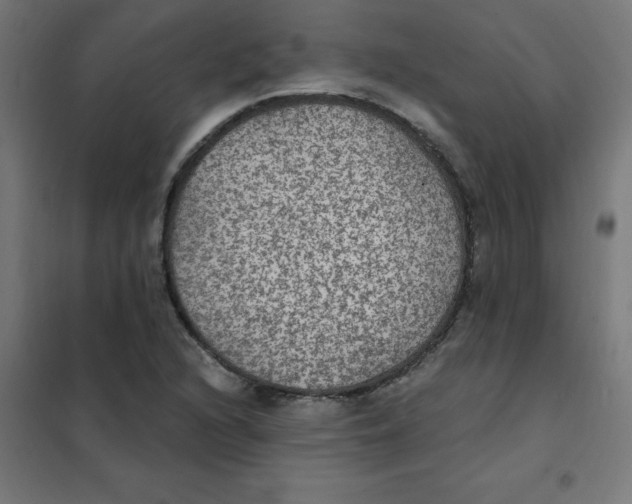X0000101441216200808041207