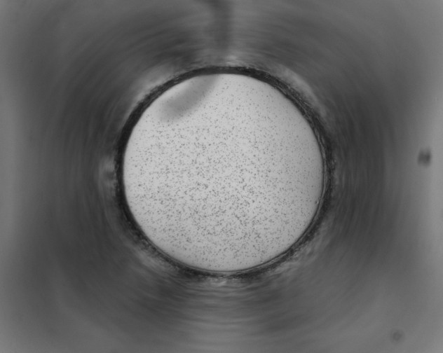 X0000101441218200808041207