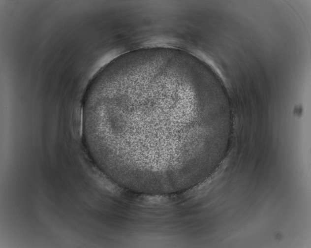 X0000101441219200808041207
