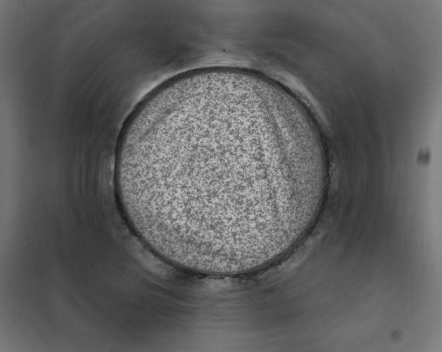 X0000101441220200808041207
