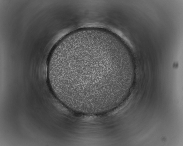 X0000101441221200808041207