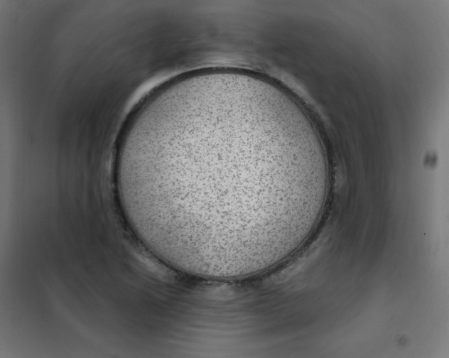 X0000101441222200808041207