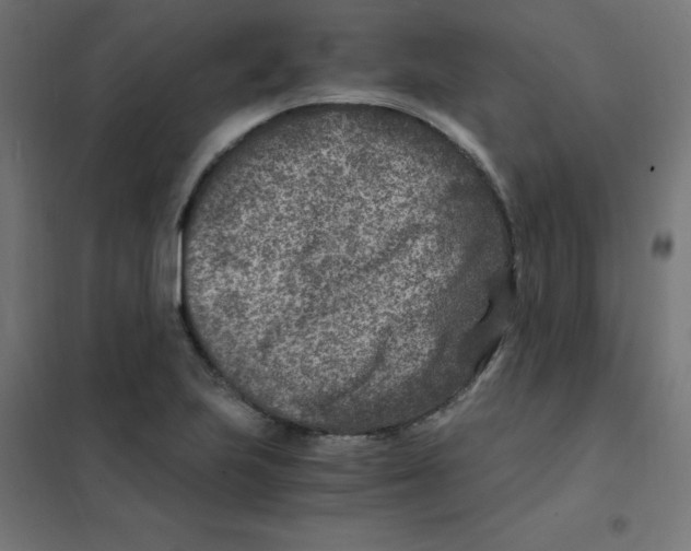X0000101441223200808041207