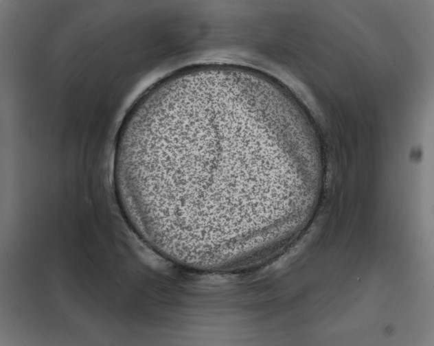 X0000101441224200808041207