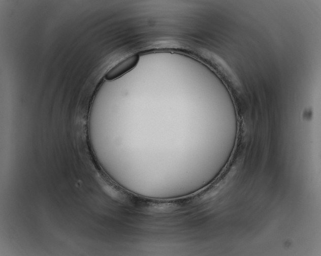 X0000101441225200808041207
