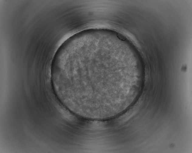 X0000101441226200808041207