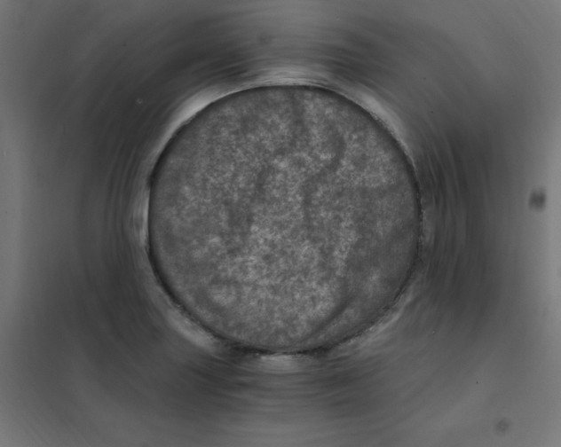 X0000101441227200808041207