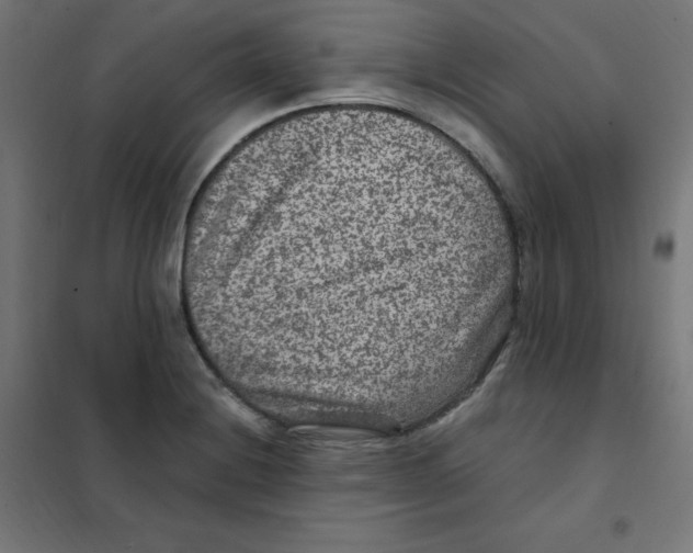 X0000101441228200808041207