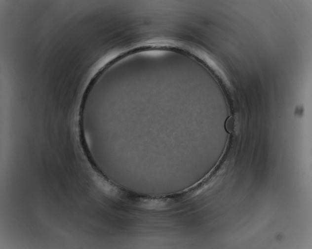 X0000101441229200808041207