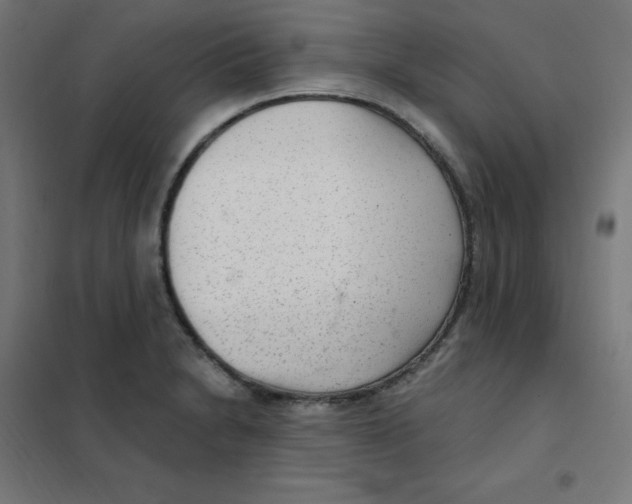 X0000101441230200808041207